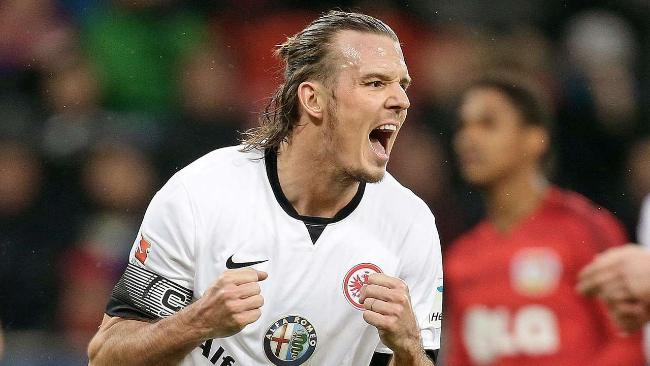 一个鲜明的 一个鲜明的