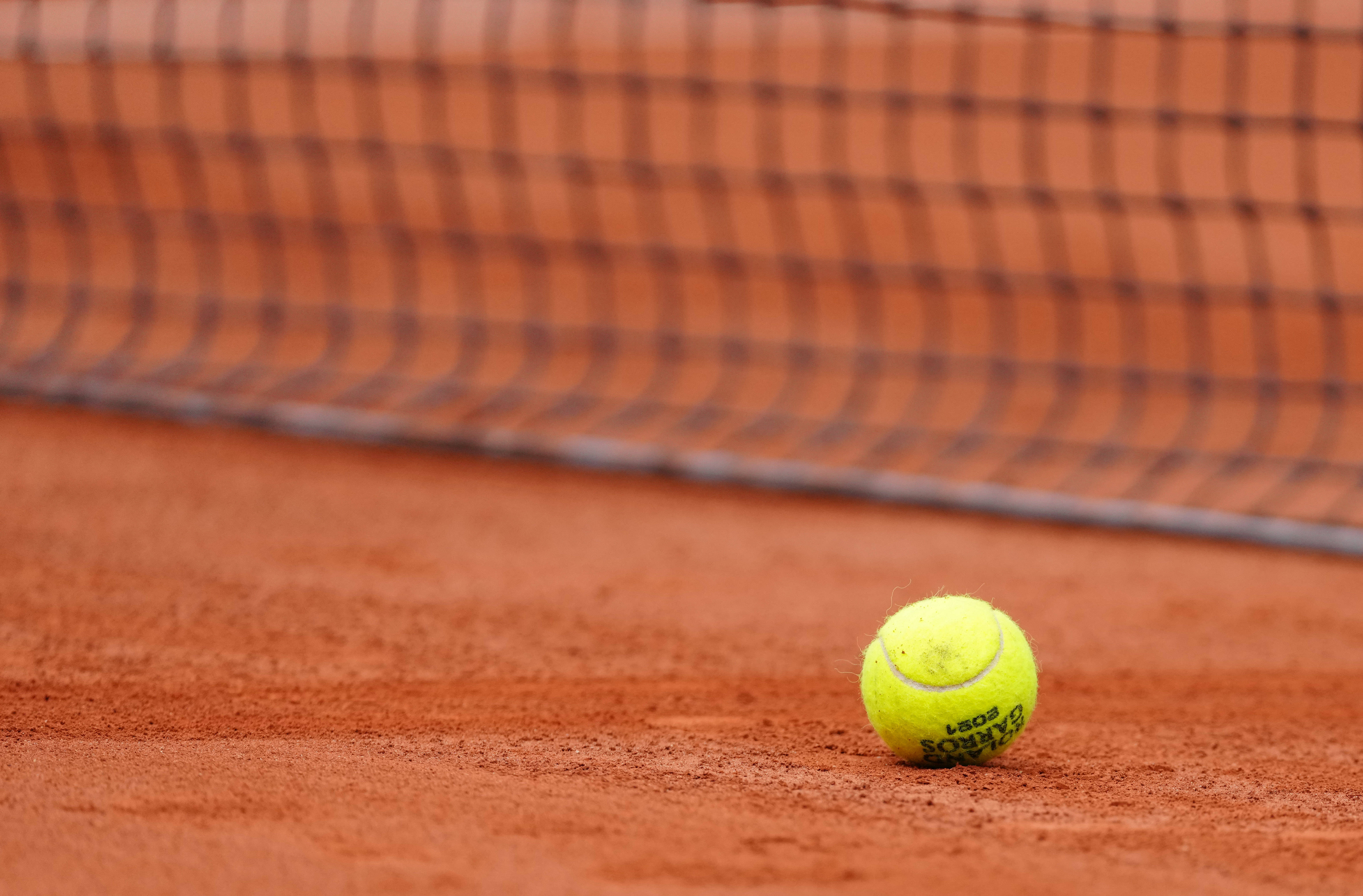 化进程明显 化进程明显