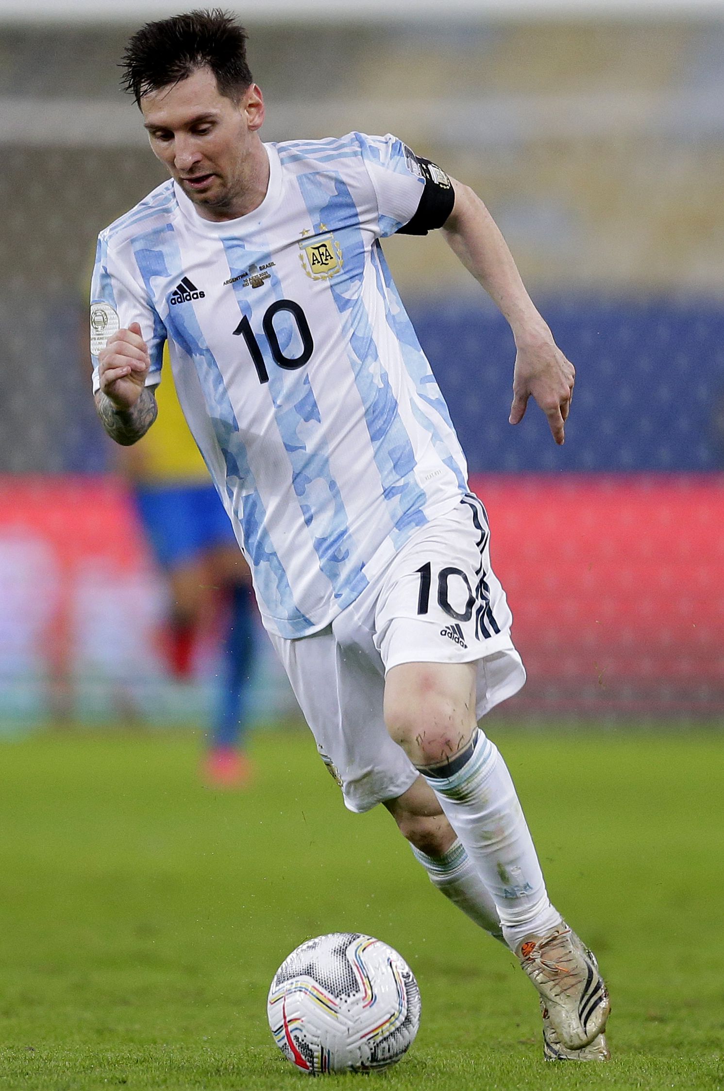 出现的土壤 出现的土壤