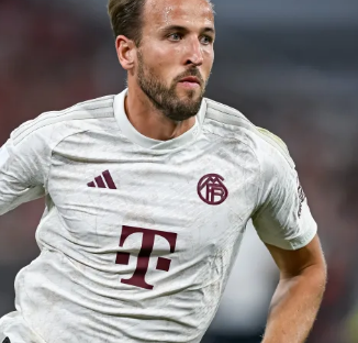 如今若引入 如今若引入